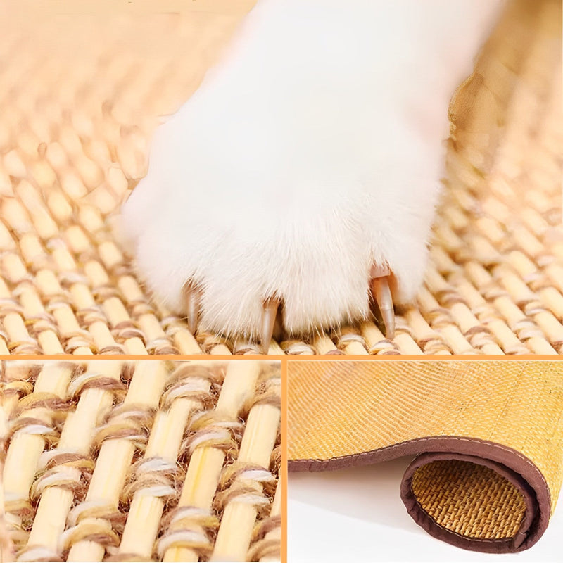 Arranhador Anti Scratch para Gato - Snap Mart