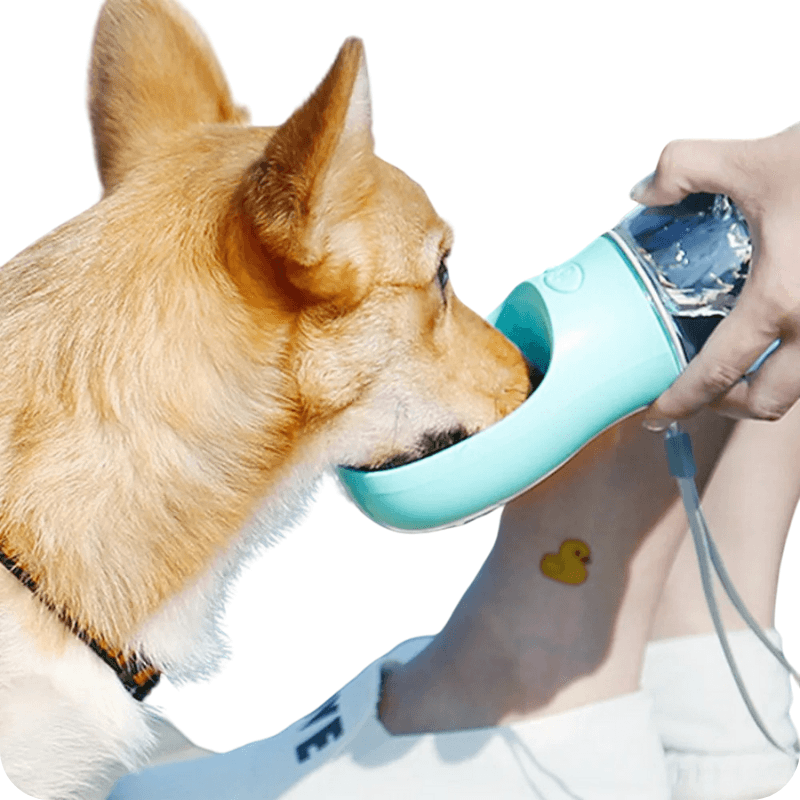 Garrafa de água portátil para pets - com bebedouro prático - Snap Mart