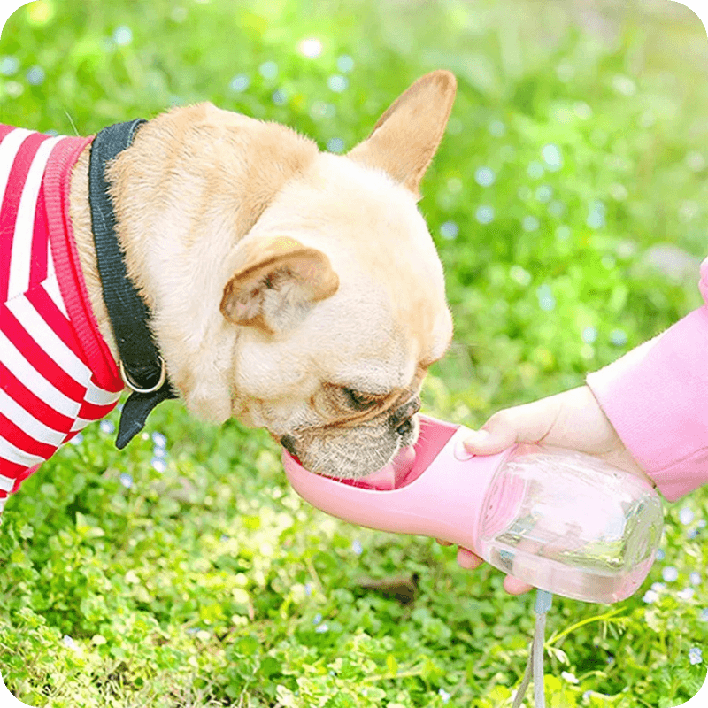 Garrafa de água portátil para pets - com bebedouro prático - Snap Mart