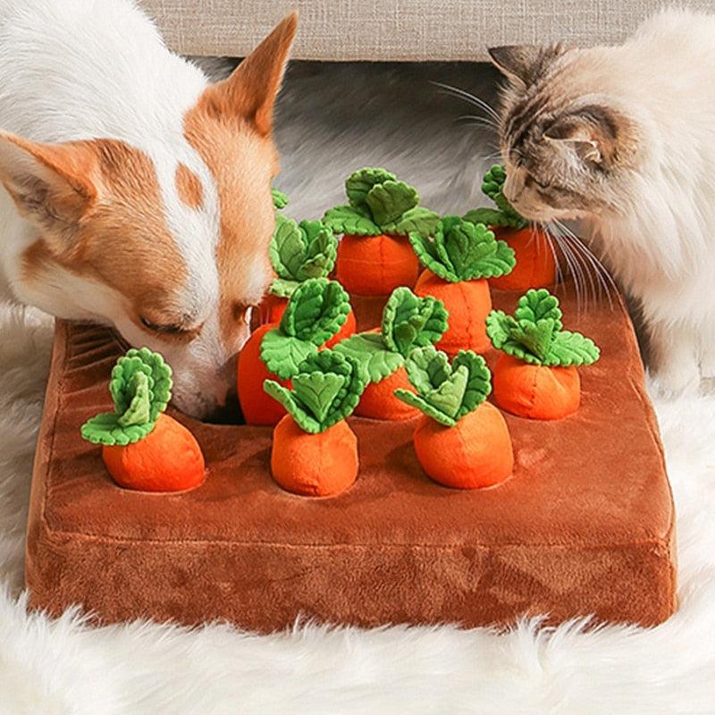 Brinquedo Interativo Para Pets - Fazenda de Cenoura - Snap Mart