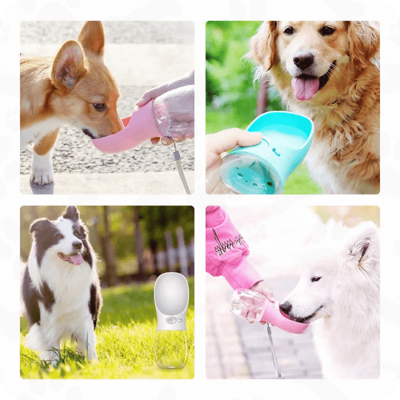 Garrafa de água portátil para pets - com bebedouro prático - Snap Mart